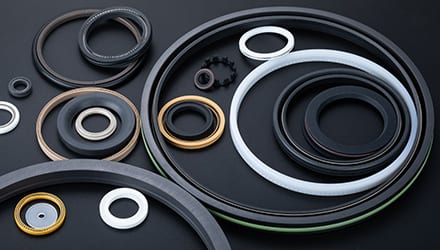 PTFE Spring Energized Seals